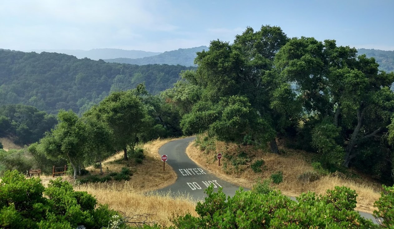 A picture I took in 2017, and it just 
feels good